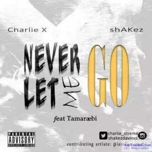 Shakez & Charlie - Never Let Me Go (ft. Tamaraebi)